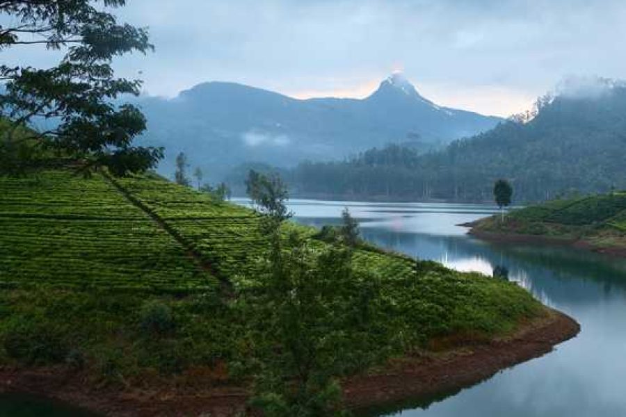 tour sri lanka