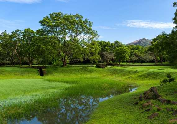 Day 7: To Colombo via Peradeniya Botanical Gardens 